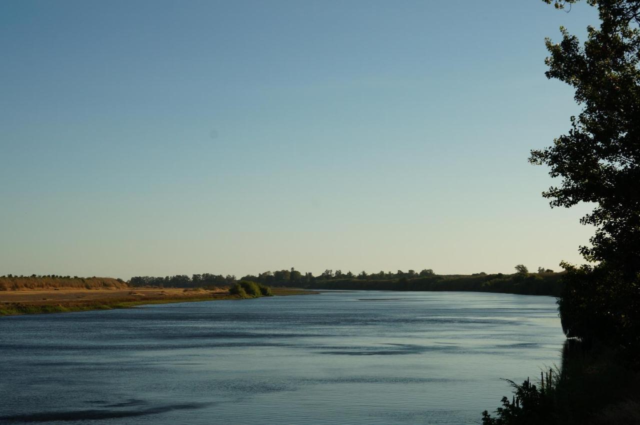 Barquinha River House Віла-Нова-да-Баркіня Екстер'єр фото